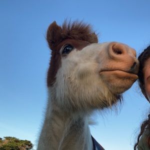 Meet your Posher, Caitlin